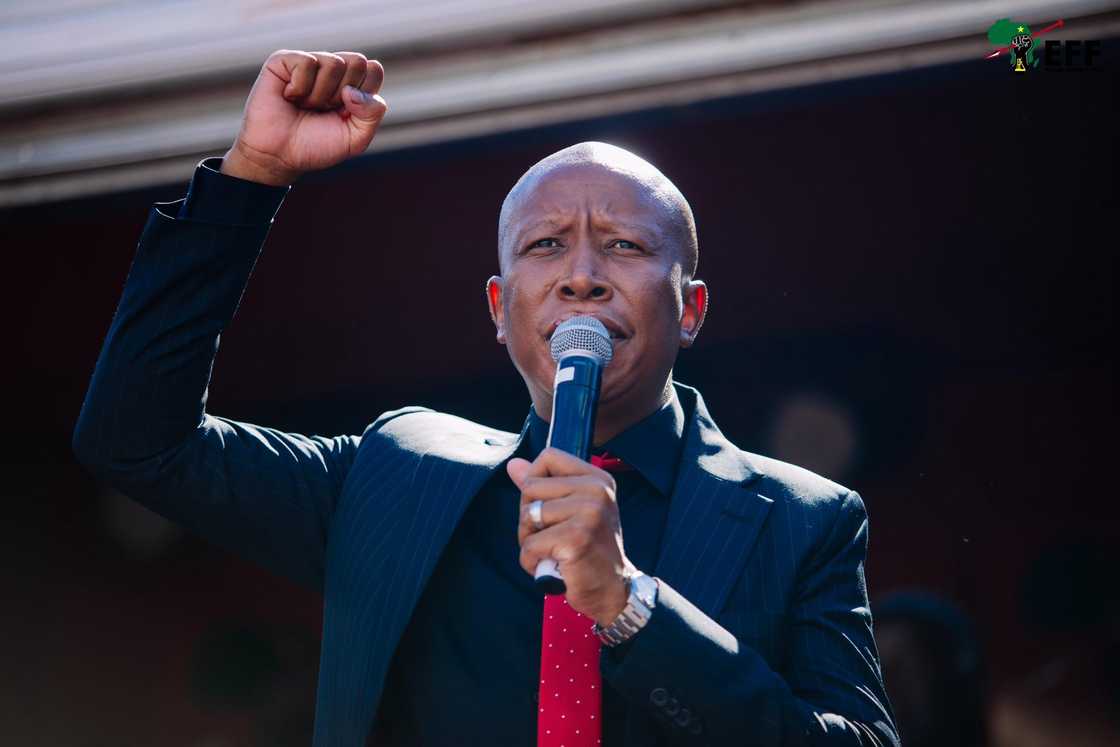 EFF president Julius Malema was released on a warning as the party appealed his sentence