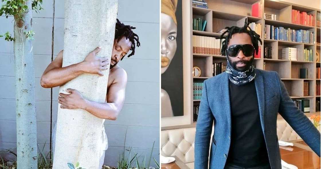 DJ Sbu, new, song, tree, concerns, nature, crazy DJ Sbu, new, song, tree, concerns, nature, crazy