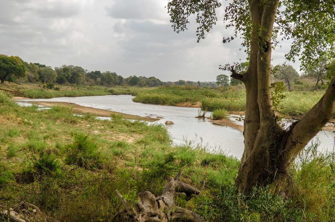 Olifants River Olifants River