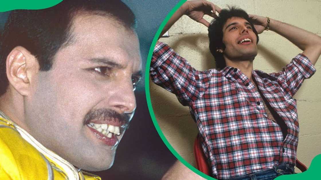 Freddie Mercury's teeth Freddie Mercury's teeth