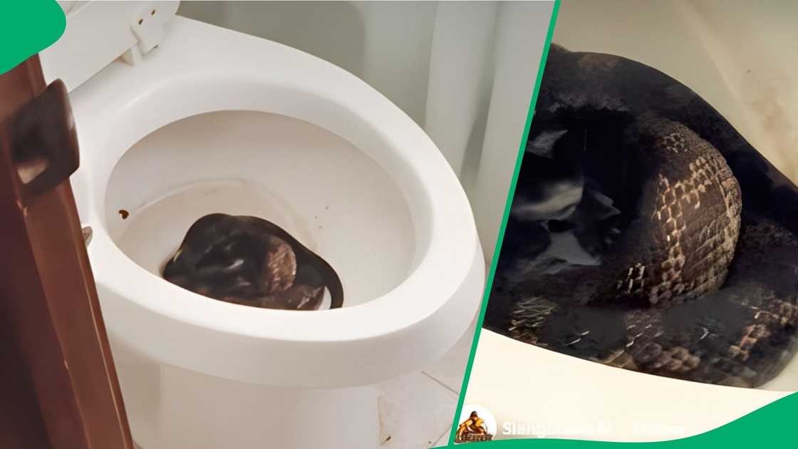 The video left many social media users fearful of using toilets The video left many social media users fearful of using toilets