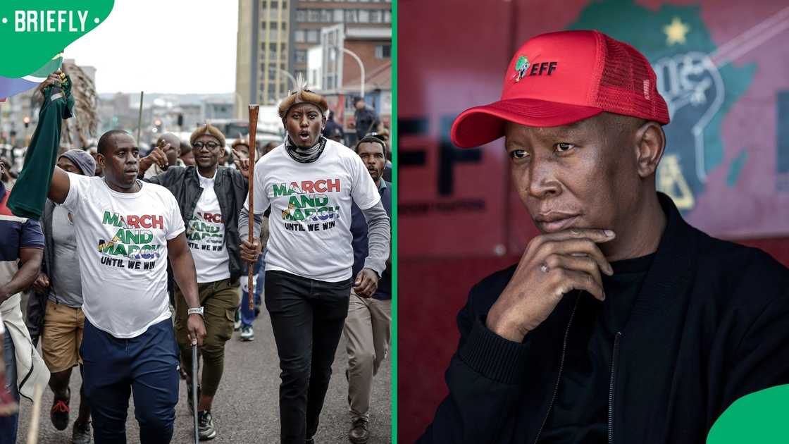Julius Malema has slammed March and March Julius Malema has slammed March and March