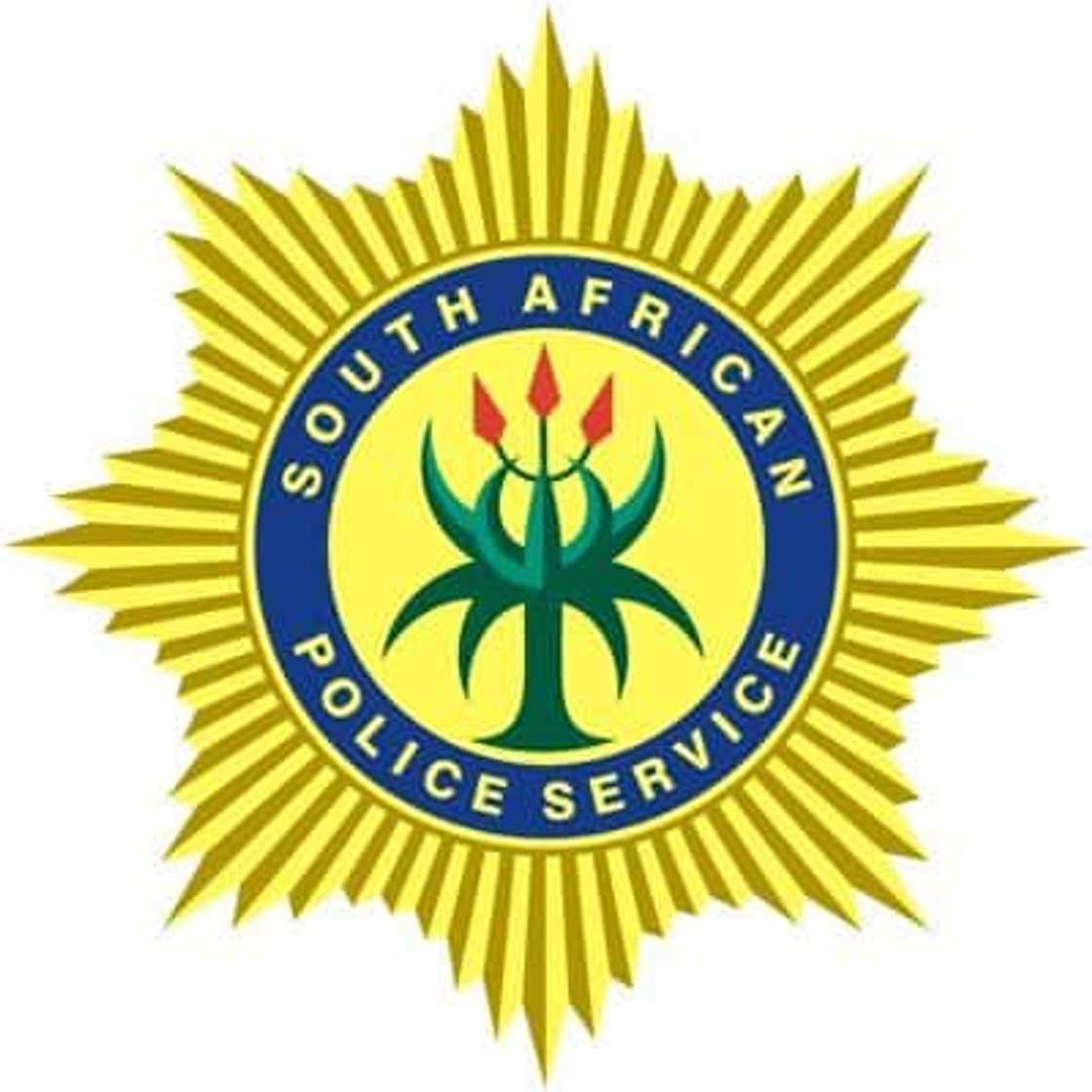 Express police clearance Pretoria Express police clearance Pretoria