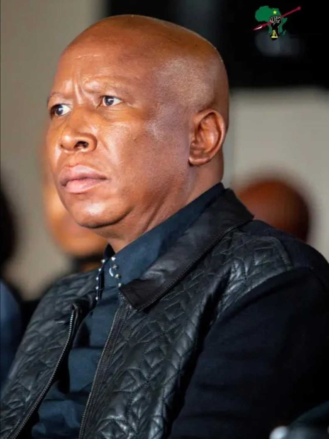 Julius Malema breaks silence on divorce rumours Julius Malema breaks silence on divorce rumours