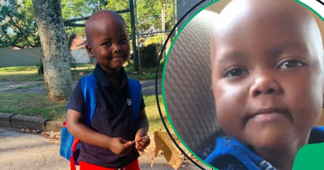 Vocal toddler floors SA Vocal toddler floors SA