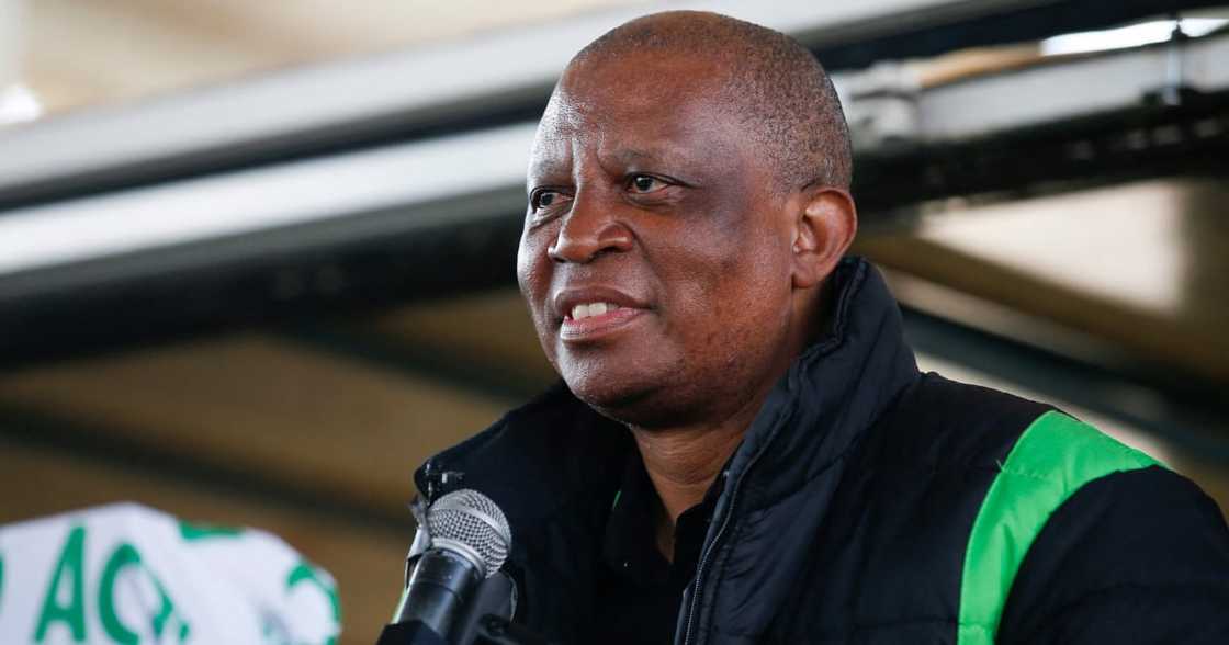 Action SA, South African Government, Fake Schools, Shutdown, Herman Mashaba, Angie Motshekga, Blade Nzimande, Basic Education, Higher Education and Training Action SA, South African Government, Fake Schools, Shutdown, Herman Mashaba, Angie Motshekga, Blade Nzimande, Basic Education, Higher Education and Training