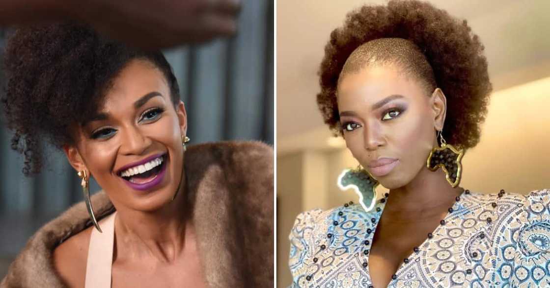 Pearl Thusi, Zahara, Lira, Zozibini Tunzi, Nomzamo Mbatha, Jo-Ann Strauss, Connie Ferguson, Mzansi celebs, natural hair, hair, stunners Pearl Thusi, Zahara, Lira, Zozibini Tunzi, Nomzamo Mbatha, Jo-Ann Strauss, Connie Ferguson, Mzansi celebs, natural hair, hair, stunners