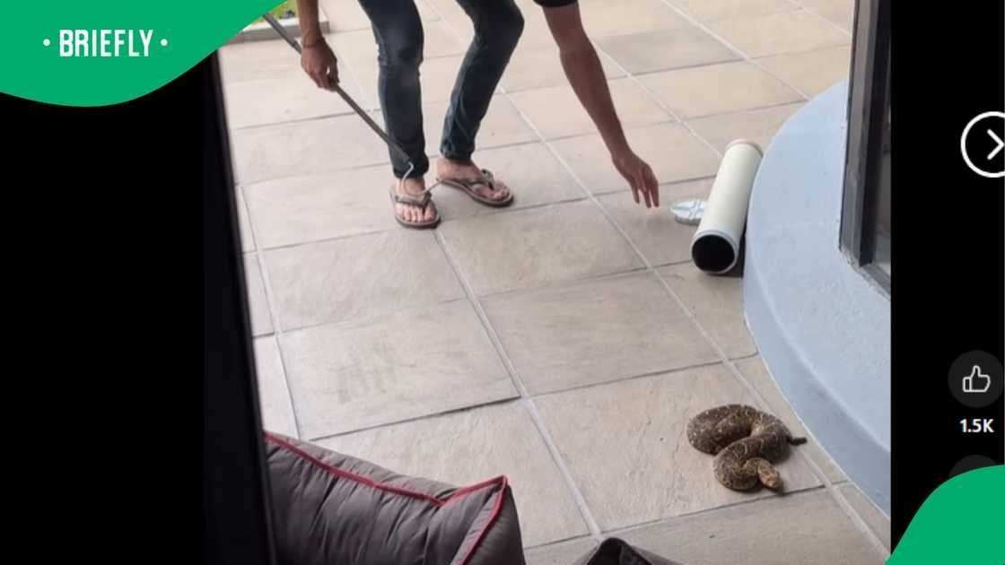 A post went viral. A post went viral.