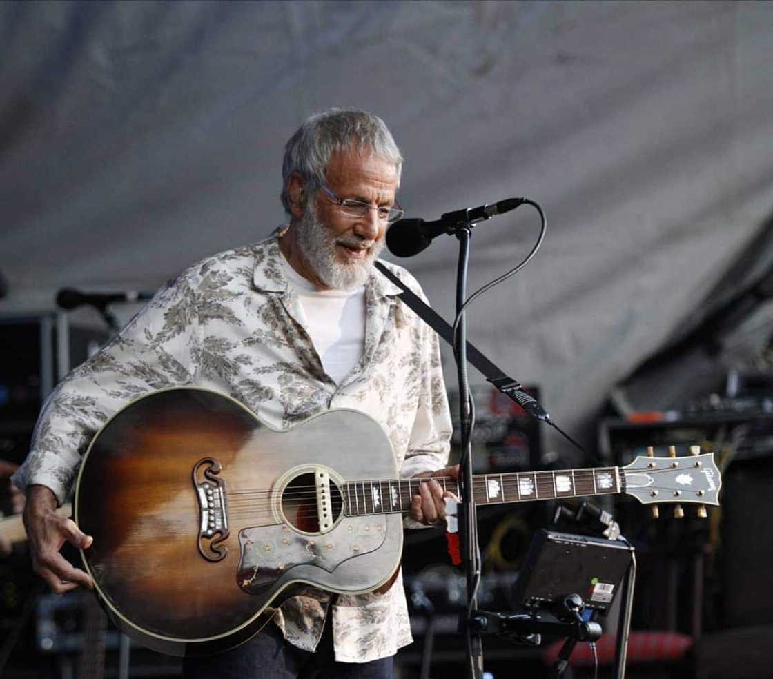 Cat Stevens Cat Stevens