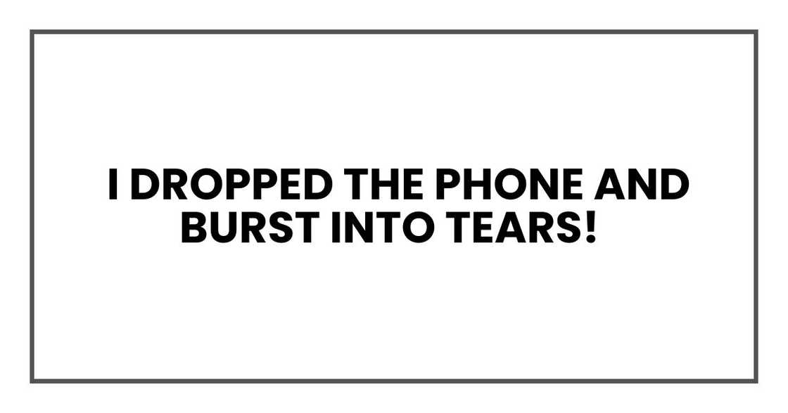 I dropped the phone and burst into tears
