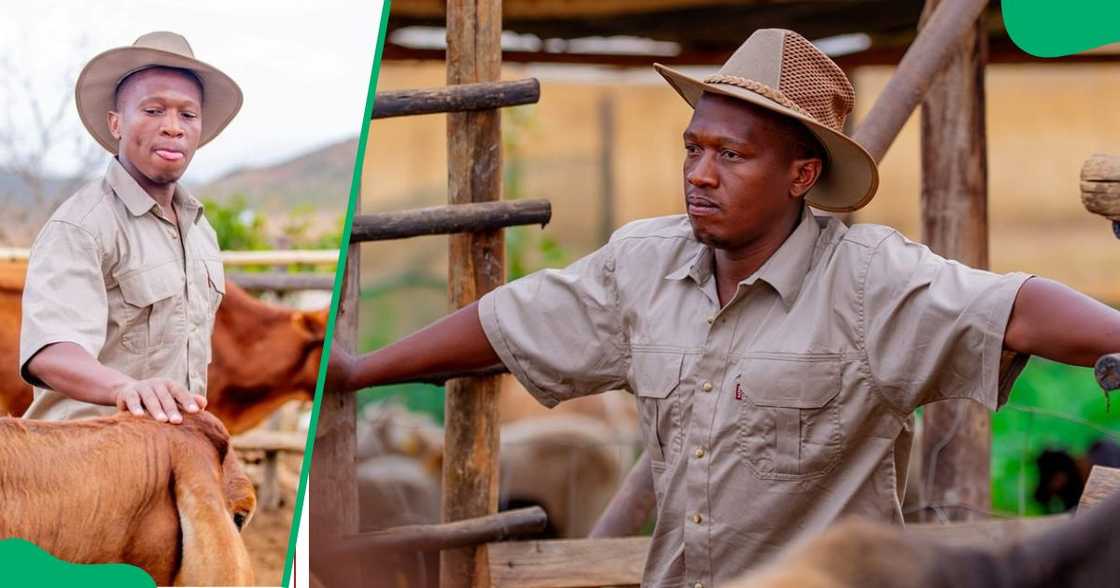 Gatsheni has entered the farming business. Gatsheni has entered the farming business.