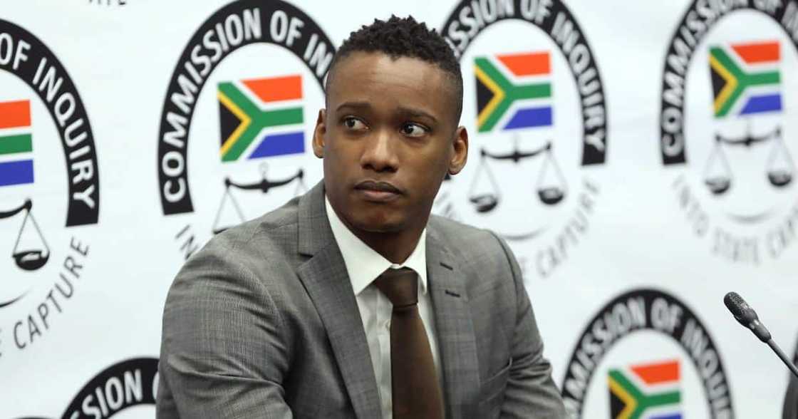 Duduzane Zuma, spotlight, Gupta brothers, arrest, looting allegations, corruption