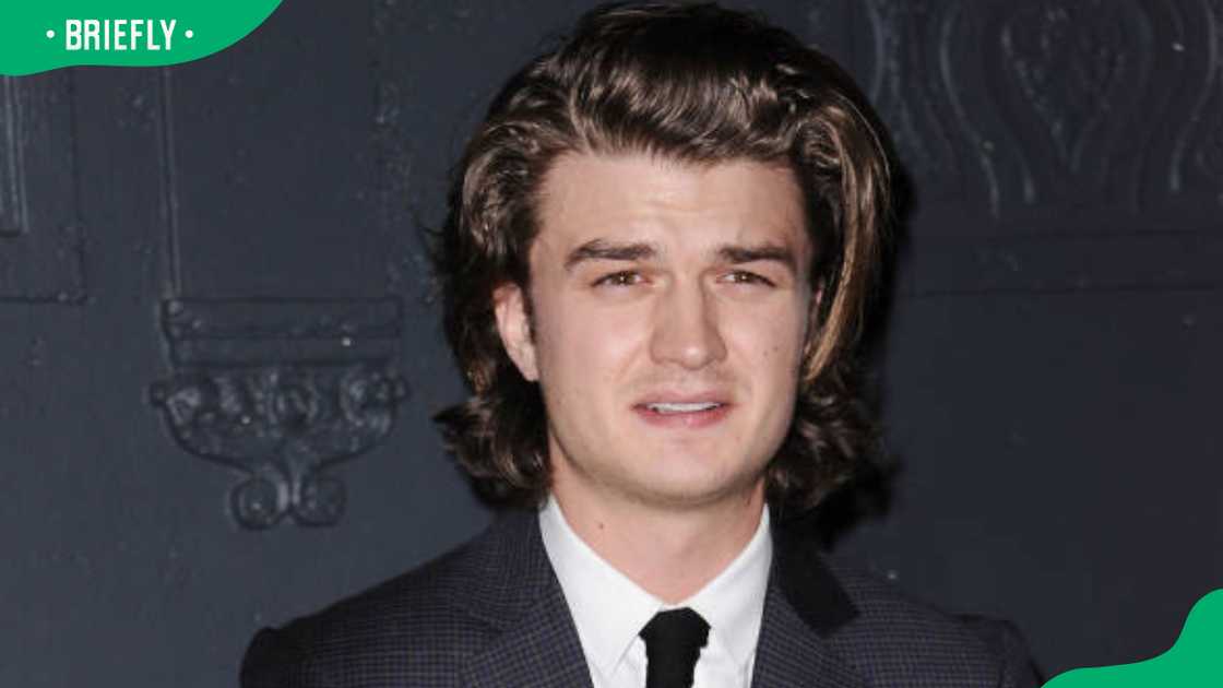 Actor Joe Keery at the premiere of "The Tribes of Palos Verdes" Actor Joe Keery at the premiere of "The Tribes of Palos Verdes"