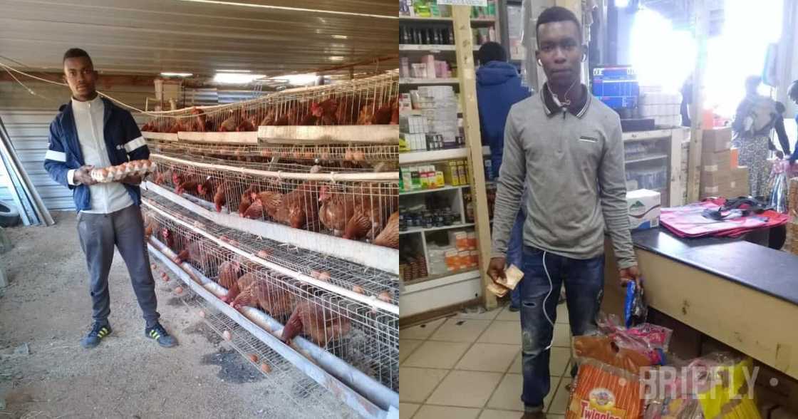 Exclusive: Student goes from selling on-campus to owning a poultry farm Exclusive: Student goes from selling on-campus to owning a poultry farm