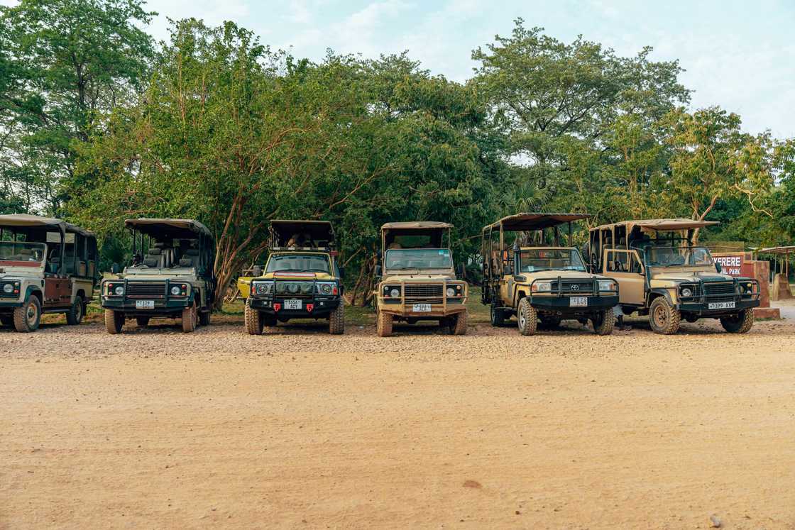 Elephant moved a safari vehicle with ease Elephant moved a safari vehicle with ease