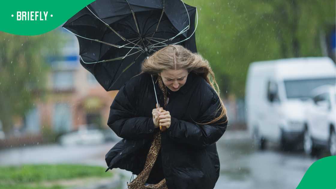 Friday weather forecast