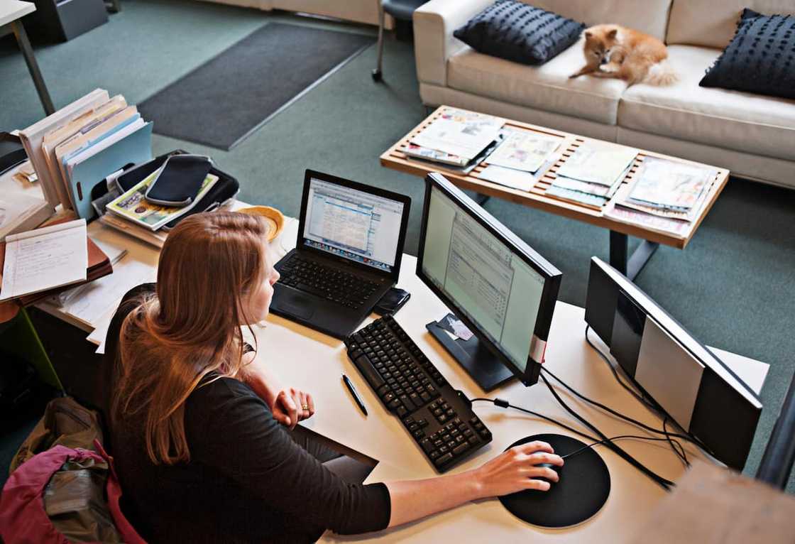 Legit online jobs Legit online jobs