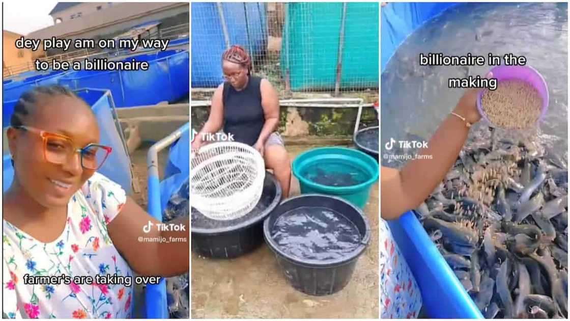 Fish farming in Nigeria/lady shows off her pond.