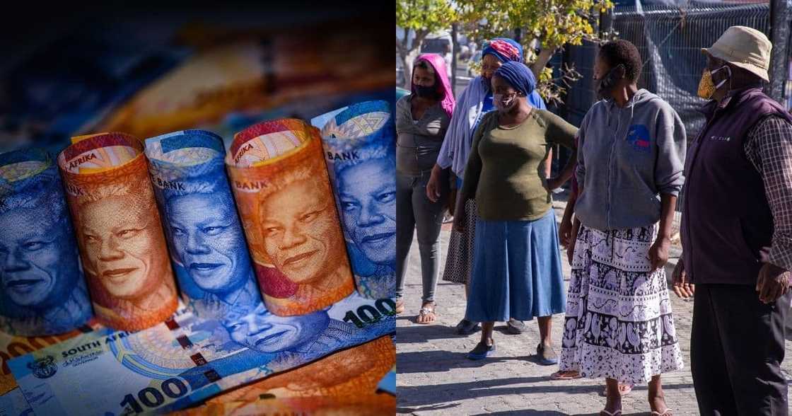 Almost 40k gov employees applying for R350 Covid grant in hot water Almost 40k gov employees applying for R350 Covid grant in hot water