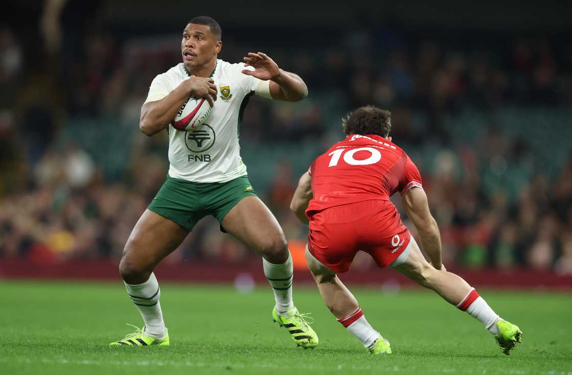 Springboks, South Africa, Damian Willemse, Quilter Nations Series 2025 Springboks, South Africa, Damian Willemse, Quilter Nations Series 2025