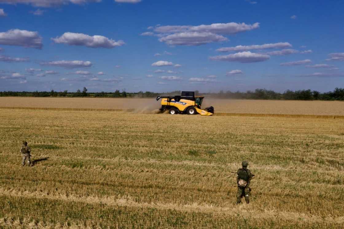 The conflict sparked fears of famine in poorer countries reliant on agricultural goods from Ukraine and Russia, two nations that were responsible for nearly a third of global wheat exports last year