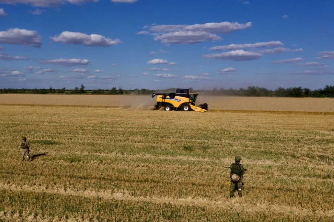 The conflict sparked fears of famine in poorer countries reliant on agricultural goods from Ukraine and Russia, two nations that were responsible for nearly a third of global wheat exports last year The conflict sparked fears of famine in poorer countries reliant on agricultural goods from Ukraine and Russia, two nations that were responsible for nearly a third of global wheat exports last year