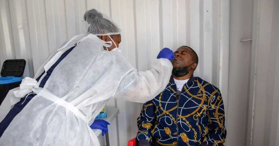 Covid-19, coronavirus, Omicron, Joe Phaala, health department, Covid-19 testing, testing prices, Competition Commission Covid-19, coronavirus, Omicron, Joe Phaala, health department, Covid-19 testing, testing prices, Competition Commission
