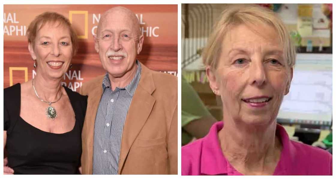 Why did they stop Dr Pol? Why did they stop Dr Pol?