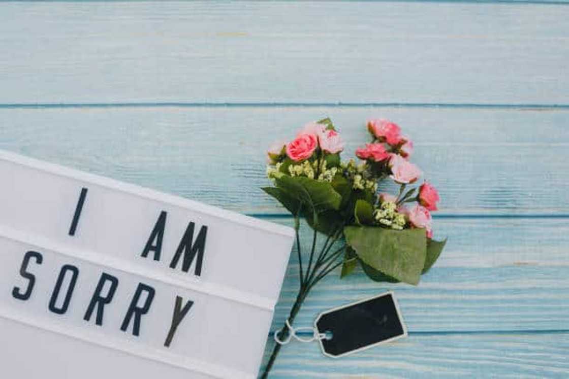 How do you apologize emotionally? How do you apologize emotionally?