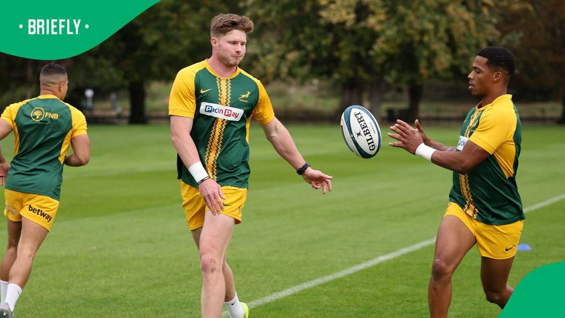 Springboks, South Africa, Grant Williams Springboks, South Africa, Grant Williams