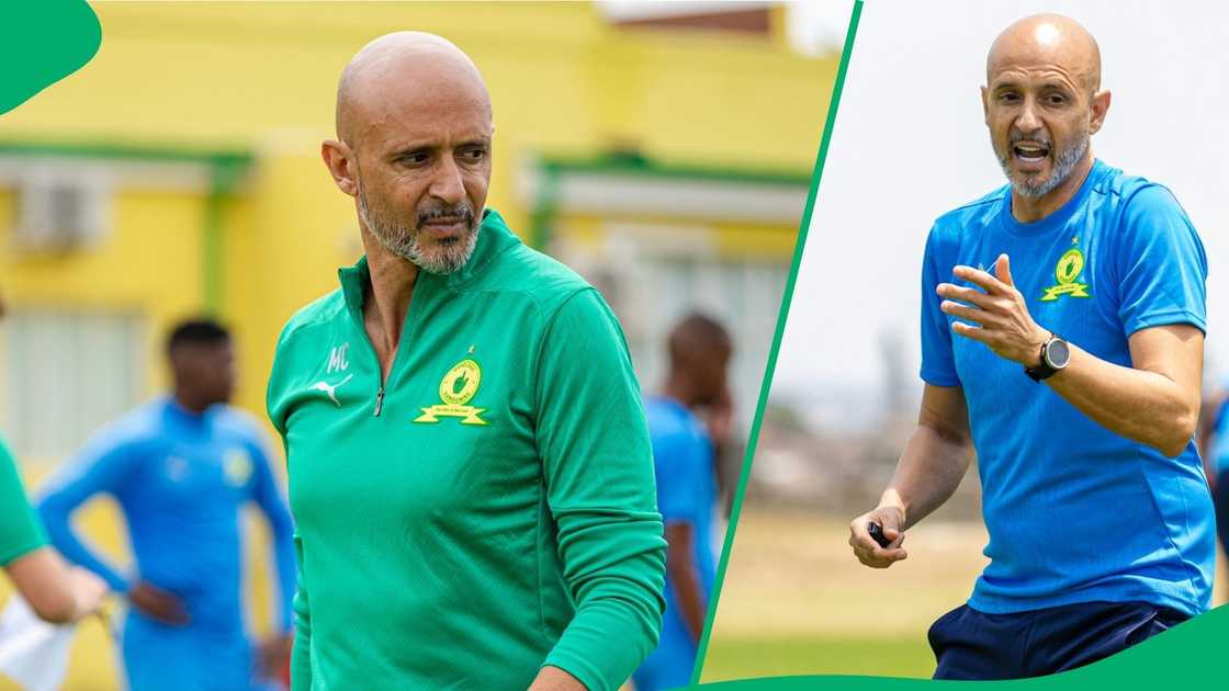 Miguel Cardoso wants to bring new faces to the Mamelodi Sundowns squad.