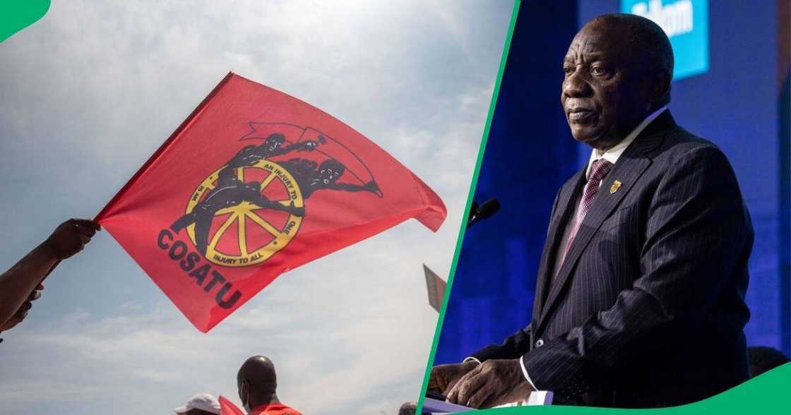 COSATU and SAFTU urge President Cyril Ramaphosa to avoid a DA-led Employment and Labour Department. COSATU and SAFTU urge President Cyril Ramaphosa to avoid a DA-led Employment and Labour Department.