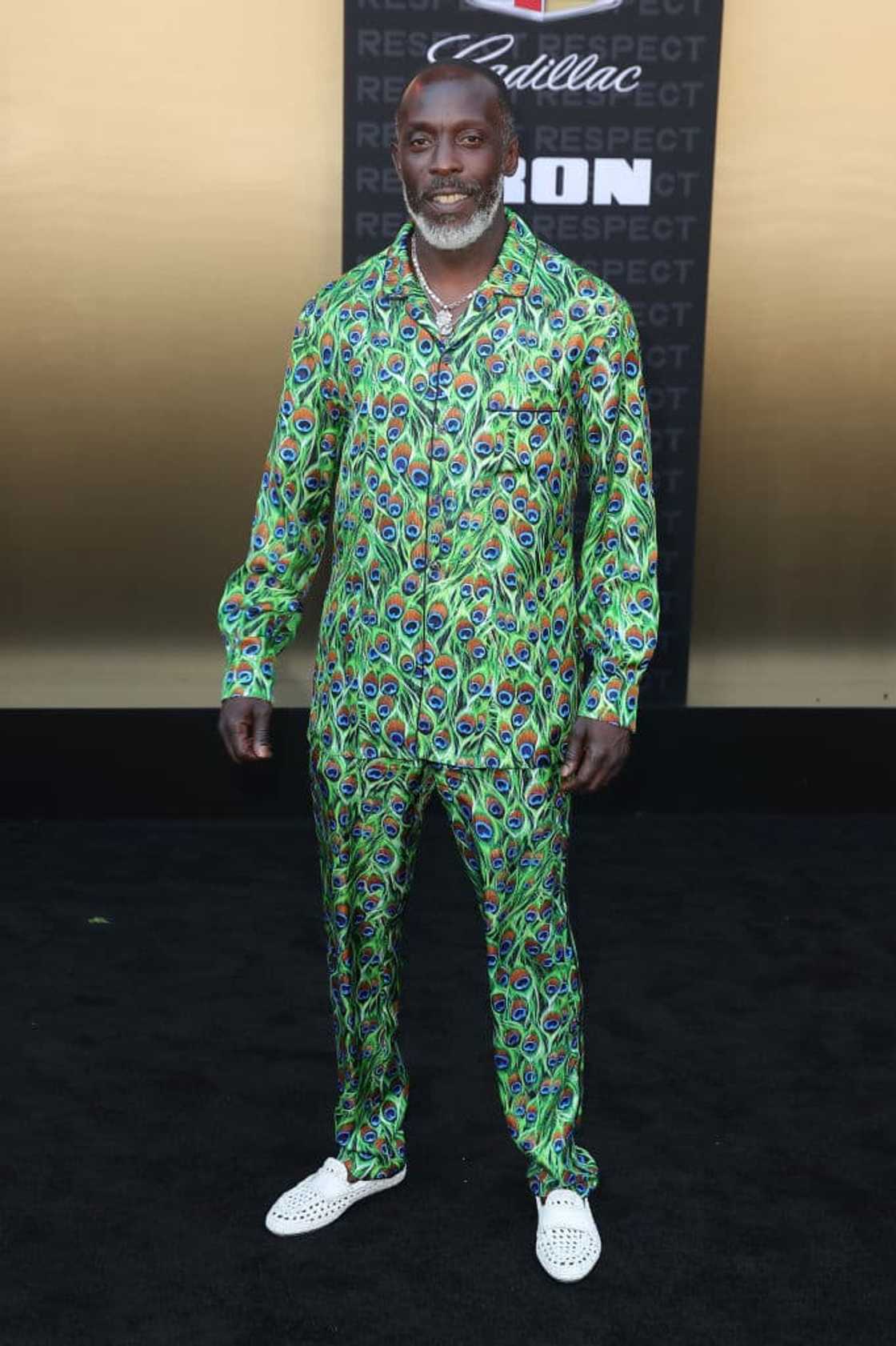 Michael K Williams net worth Michael K Williams net worth