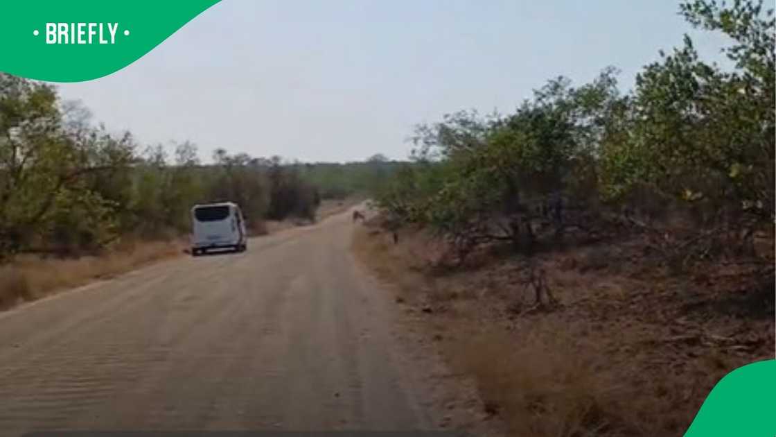 Kruger National Park tourists break rule