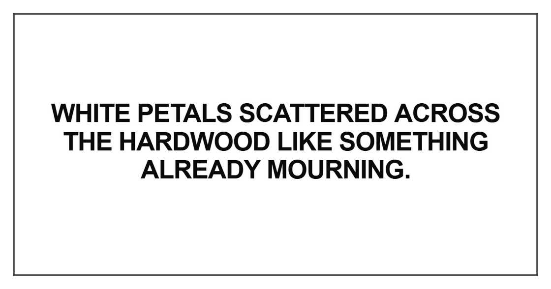 White petals scattered across the hardwood