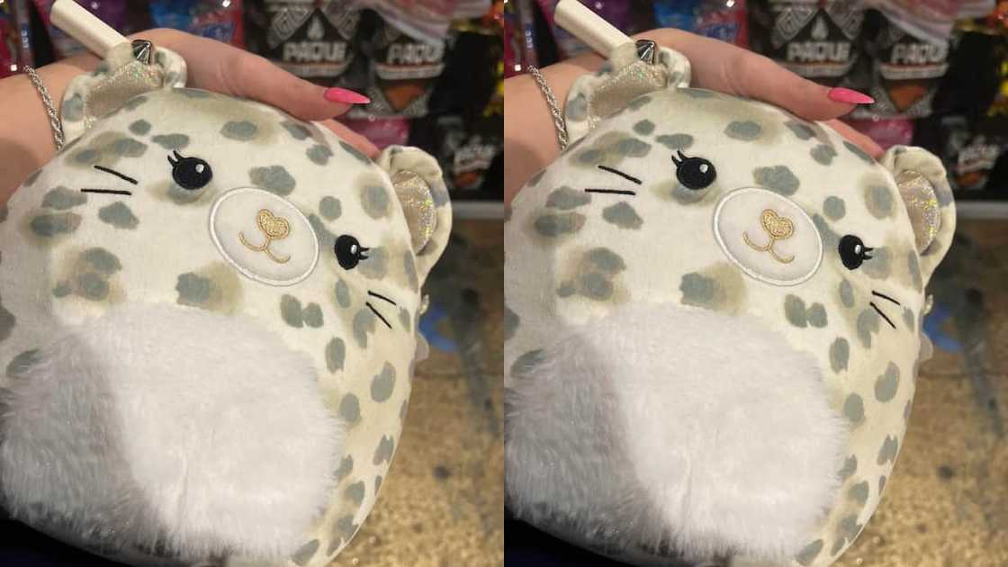 Brigita Squishmallow Brigita Squishmallow