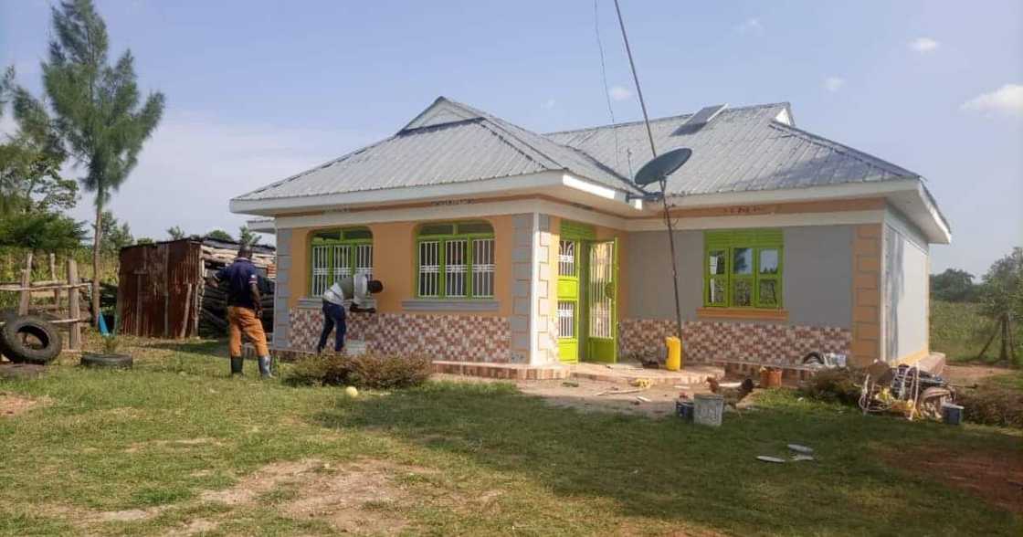 Kenyan Woman Dumped by Hubby Builds Beautiful Home, Rentals after Hustling as Boda Boda Rider Kenyan Woman Dumped by Hubby Builds Beautiful Home, Rentals after Hustling as Boda Boda Rider