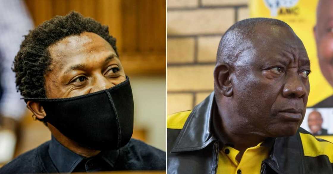 Ndlozi, Ramaphosa, Shade, Fires shots, Twitter reactions, Mzansi in stitches Ndlozi, Ramaphosa, Shade, Fires shots, Twitter reactions, Mzansi in stitches