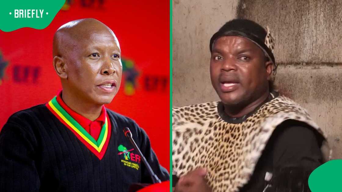Ngizwe Mchunu and Julius Malema back in court after SABC interview