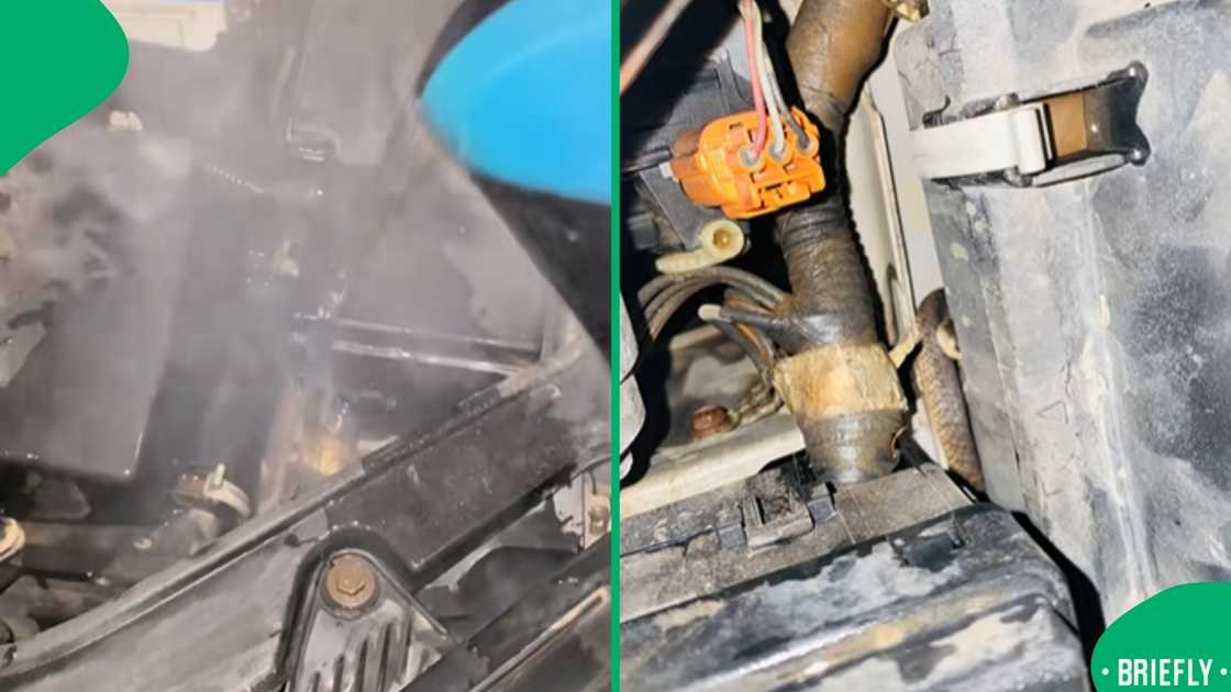 The visual on the right showed the snake hiding