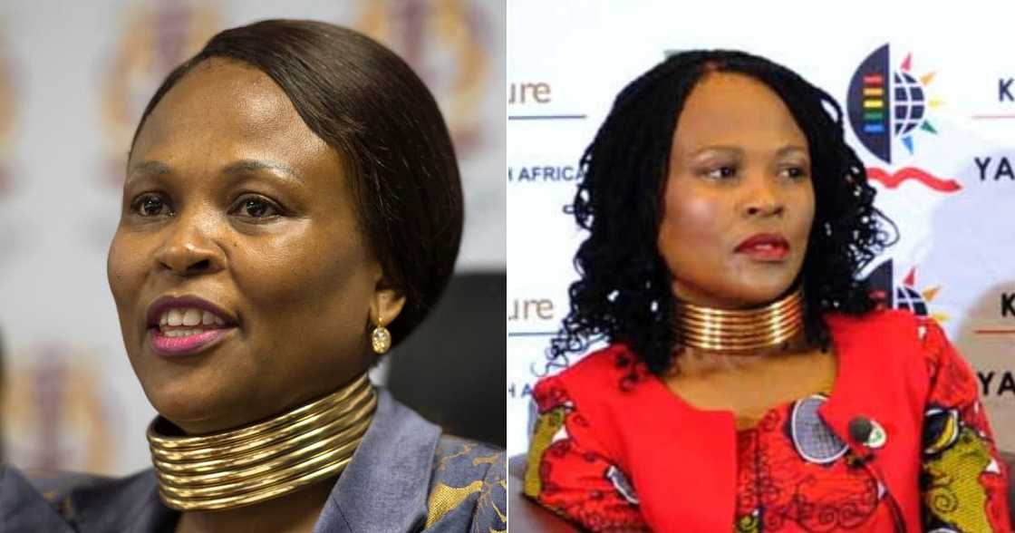 Public Protector, ANC's Election Campaign, Eastern Cape, Premier, Winnie Madikizela-Mandela