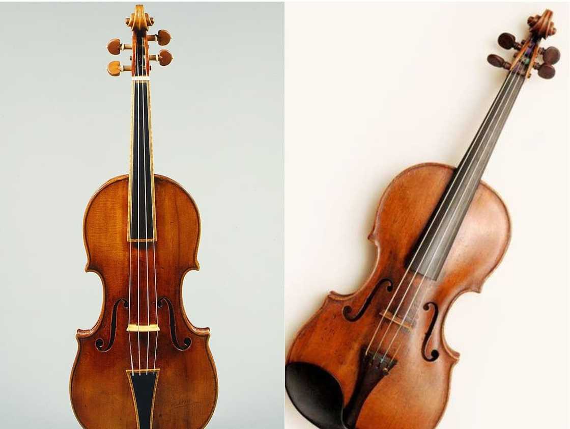 What is the most expensive brass instrument? What is the most expensive brass instrument?