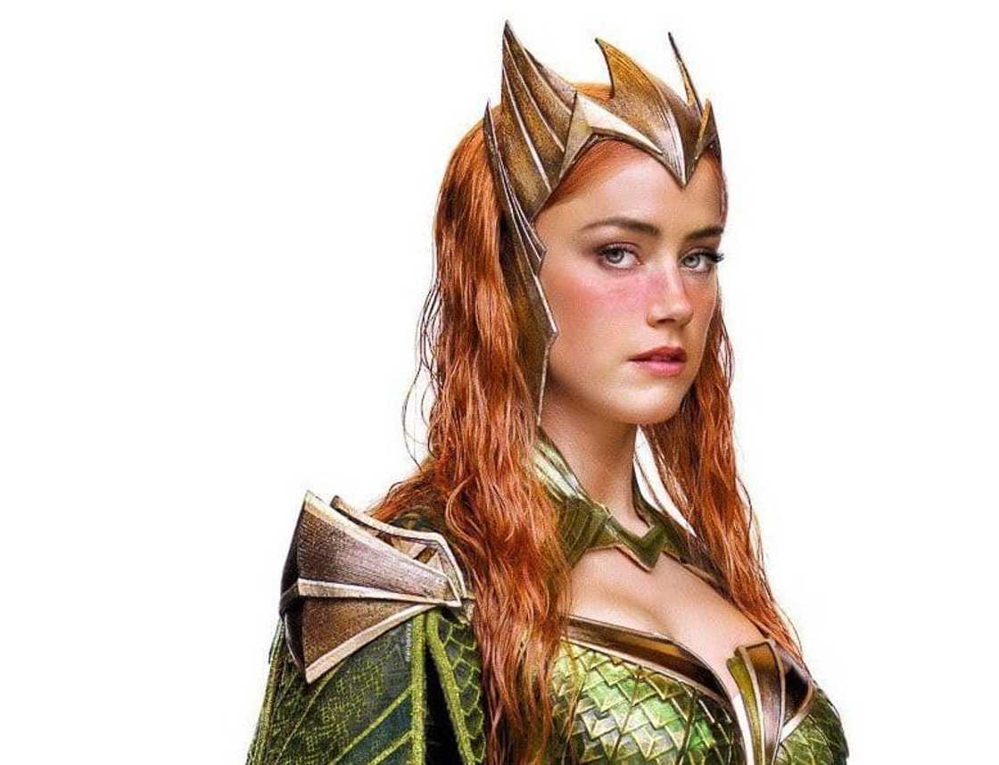 Amber Heard's net worth Amber Heard's net worth