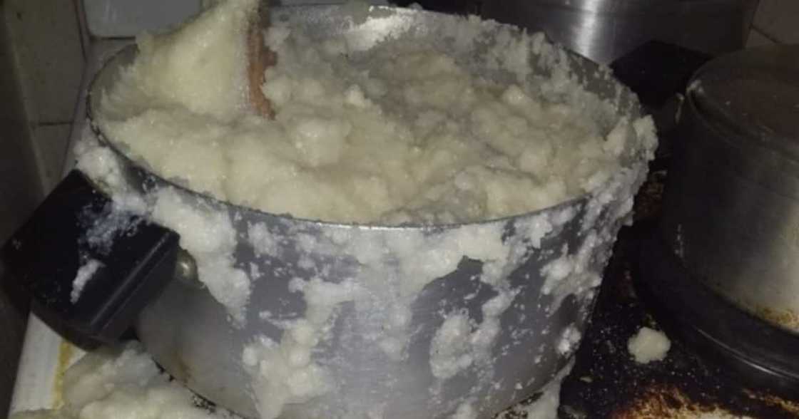 Pap, cook, messy, terrible, boyfriend, girlfriend Pap, cook, messy, terrible, boyfriend, girlfriend