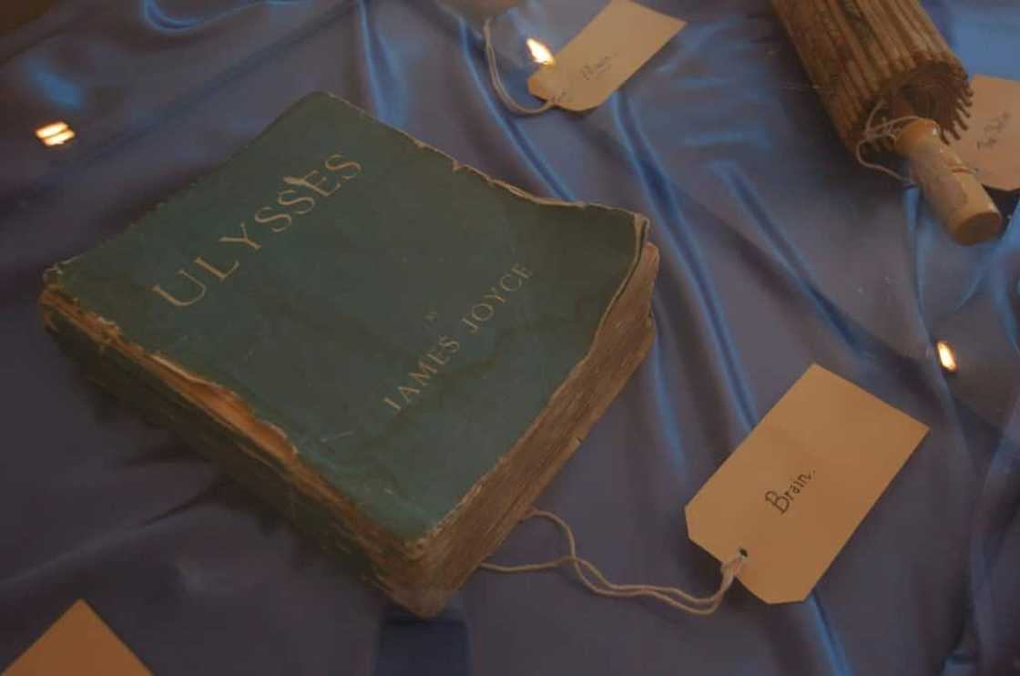 'Ulysses' sparked scandal when it was published in 1922 'Ulysses' sparked scandal when it was published in 1922