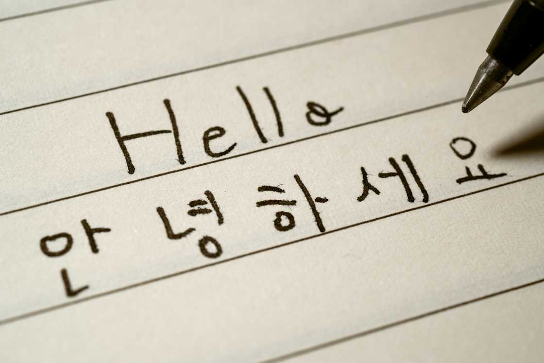 Best languages to learn for the future Best languages to learn for the future