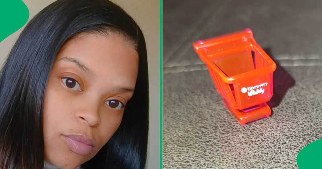 A woman proposed a trade for her Checkers mini trolley A woman proposed a trade for her Checkers mini trolley