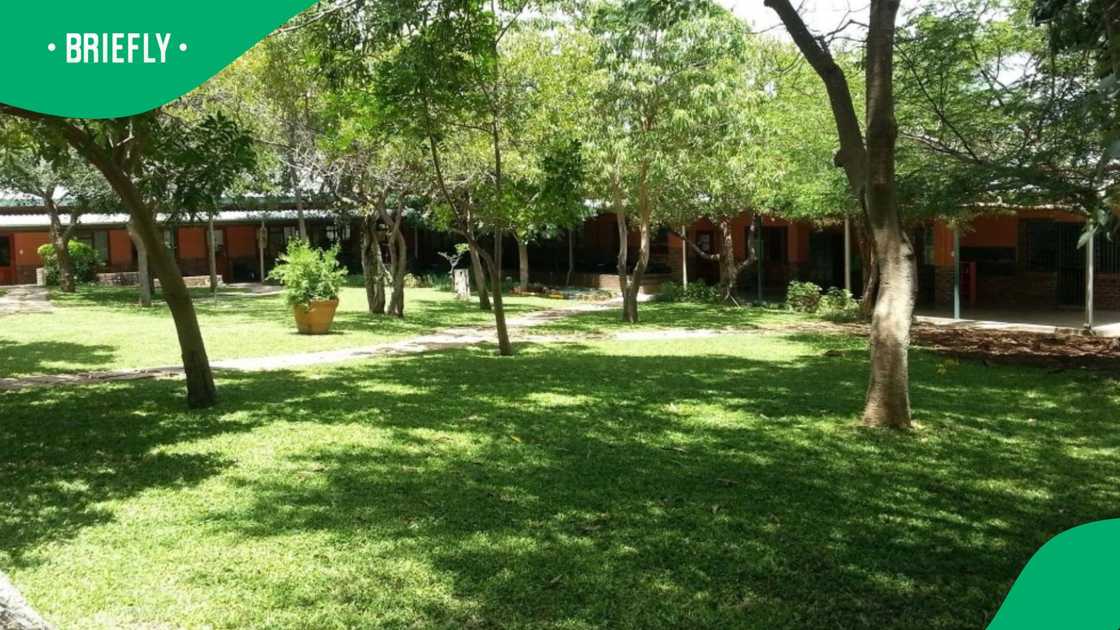 Hoedspruit Christian School pays tribute to Troy Matthysen Hoedspruit Christian School pays tribute to Troy Matthysen