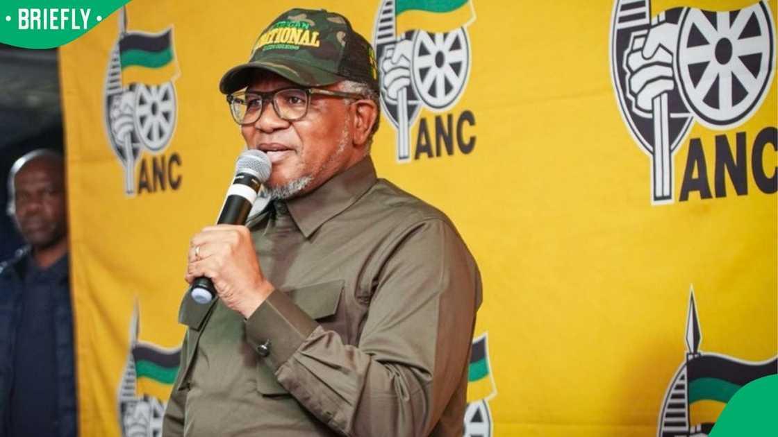 Fikile Mbalula will reportedly be shielded from having to step aside
