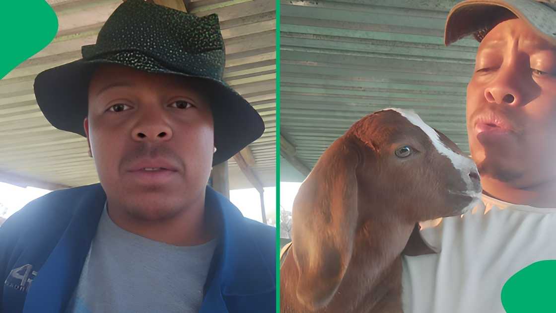 The man left social media users cracking up after giving his baby goat a humorous vocal lesson